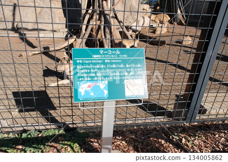 馬克霍爾羊資訊牌以及透過籠子看到的羊群（動物園展區） 134005862
