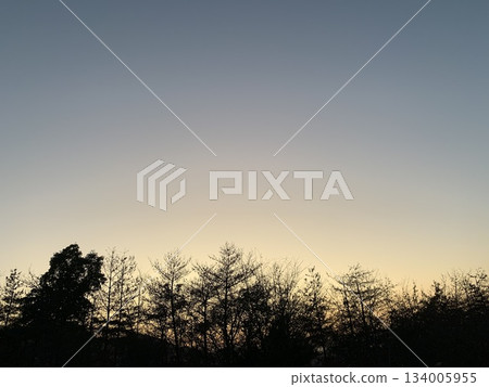 A winter evening with a beautiful sky 134005955