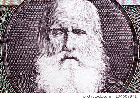 Pedro II of Brazil a closeup portrait from Brazilian money Pedro II of Brazil a closeup portrait from Brazilian money 134005971
