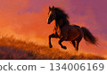 夕陽西下，駿馬奔騰於荒野之中。 134006169