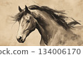 水彩畫馬 134006170
