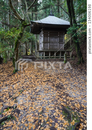 Yoshinoyama Okusenbon Yoshitsune Hidden Tower - Fallen Leaves Path Yoshinoyama Okusenbon Yoshitsune Hidden Tower - Fallen Leaves Path 134006198