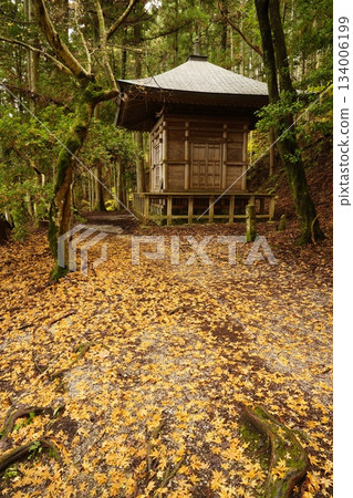 Yoshinoyama Okusenbon Yoshitsune Hidden Tower - Fallen Leaves Path Yoshinoyama Okusenbon Yoshitsune Hidden Tower - Fallen Leaves Path 134006199