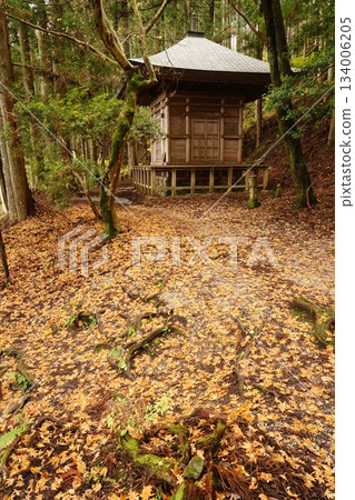 Yoshinoyama Okusenbon Yoshitsune Hidden Tower - Fallen Leaves Path Yoshinoyama Okusenbon Yoshitsune Hidden Tower - Fallen Leaves Path 134006205