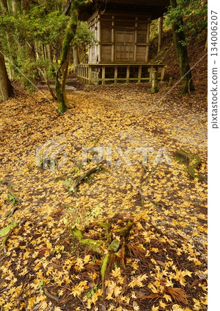 Yoshinoyama Okusenbon Yoshitsune Hidden Tower - Fallen Leaves Path Yoshinoyama Okusenbon Yoshitsune Hidden Tower - Fallen Leaves Path 134006207