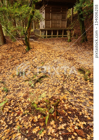 Yoshinoyama Okusenbon Yoshitsune Hidden Tower - Fallen Leaves Path Yoshinoyama Okusenbon Yoshitsune Hidden Tower - Fallen Leaves Path 134006208