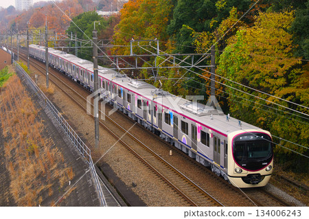 Keio 2000 series 134006243