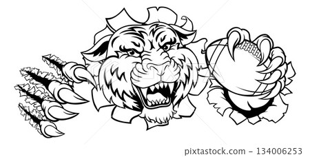 Tiger American Football Sports Team Animal Mascot 134006253