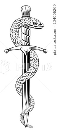Dagger Knife Snake Vintage Woodcut Style Dagger Knife Snake Vintage Woodcut Style 134006269