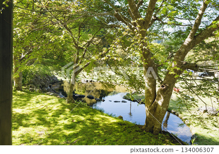 Hanazono Auto Campsite, Ibaraki 134006307