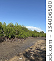 Indonesia mangrove Lombok 134006500