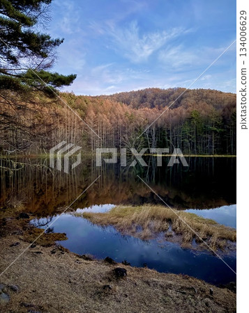 Midnight Pond Mishaka Pond 134006629