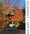 Autumn leaves 134006783