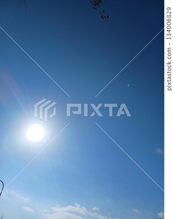 The sun floating in the autumn sky The sun floating in the autumn sky 134006829