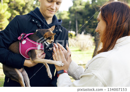 young couple walking with dogs, lifestyle people concept young couple walking with dogs, lifestyle people concept 134007153