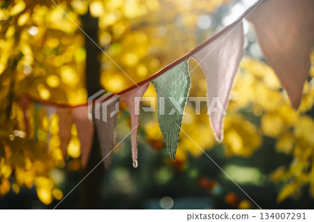 Autumn Celebration Flags on a Sunny October Day 134007291