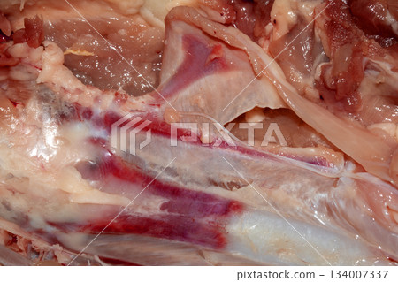 Close up of meat carcass tendons and bones from a chicken that has been carved horror blood red background food waste Close up of meat carcass tendons and bones from a chicken that has been carved horror blood red background food waste 134007337