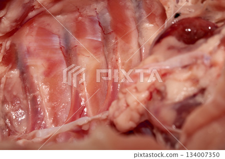 Close up of meat carcass tendons and bones from a chicken that has been carved horror blood red background food waste Close up of meat carcass tendons and bones from a chicken that has been carved horror blood red background food waste 134007350