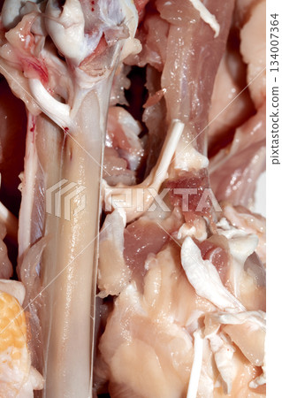 Close up of meat carcass tendons and bones from a chicken that has been carved horror blood red background food waste Close up of meat carcass tendons and bones from a chicken that has been carved horror blood red background food waste 134007364
