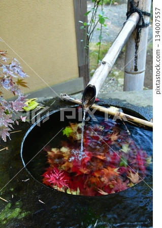 漂浮在水盆中 134007557