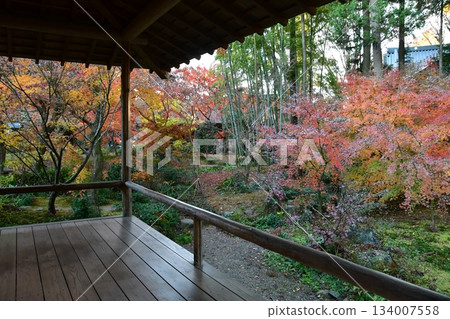 Landscape with autumn leaves Landscape with autumn leaves 134007558