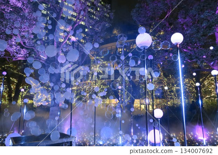 2025年東京中城燈光秀 134007692