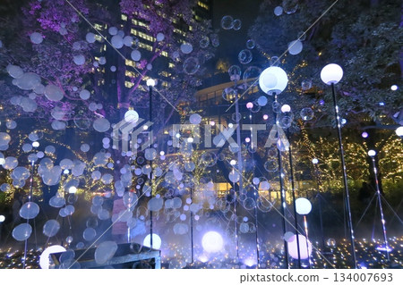 Tokyo Midtown illuminations in 2025 134007693