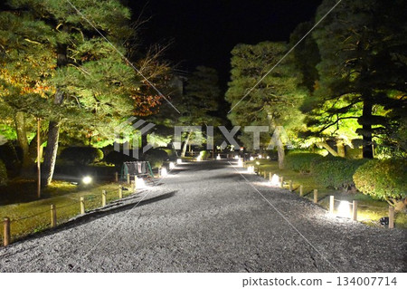 Autumn leaves illumination in Uji 134007714