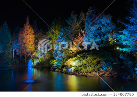 夜幕降臨,花園裡色彩斑斕的池塘和樹木映入眼簾。 夜幕降臨,花園裡色彩斑斕的池塘和樹木映入眼簾。 134007790