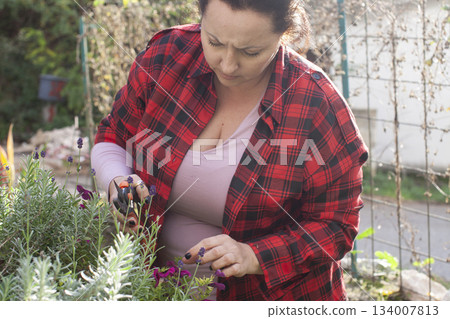 pretty mature brunette woman working in her garden, lifestyle people concept pretty mature brunette woman working in her garden, lifestyle people concept 134007813