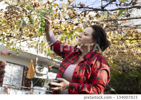 pretty mature brunette woman working in her garden, lifestyle people concept 134007815