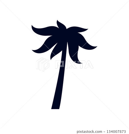 Tropical Palm Tree 134007873