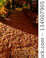 落葉地毯 134007905