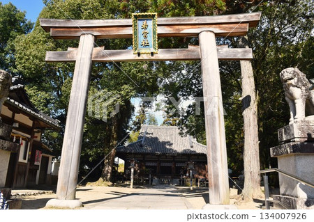 秋葉映照下的近江神社,若宮社 秋葉映照下的近江神社,若宮社 134007926