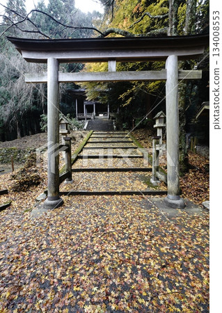 Autumn scenery of the approach to Yoshino Okusenbon Kinpu Shrine Autumn scenery of the approach to Yoshino Okusenbon Kinpu Shrine 134008553