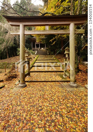 Autumn scenery of the approach to Yoshino Okusenbon Kinpu Shrine Autumn scenery of the approach to Yoshino Okusenbon Kinpu Shrine 134008554