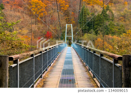 Autumn scenery of Lake Choro and Yamabiko Suspension Bridge surrounded by autumn leaves Autumn scenery of Lake Choro and Yamabiko Suspension Bridge surrounded by autumn leaves 134009015