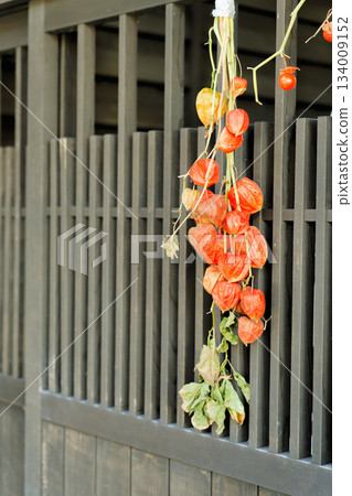 妻籠宿一棟聯排別墅的黑色格子門上懸掛著秋季裝飾用的燈籠果(豎構圖) 妻籠宿一棟聯排別墅的黑色格子門上懸掛著秋季裝飾用的燈籠果(豎構圖) 134009152