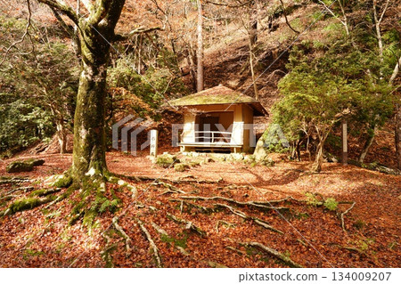 Saigyo-an buried in fallen leaves Saigyo-an buried in fallen leaves 134009207