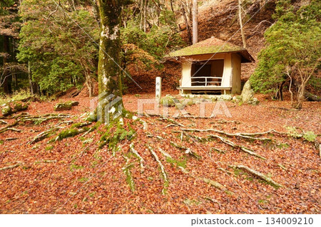 Saigyo-an buried in fallen leaves 134009210