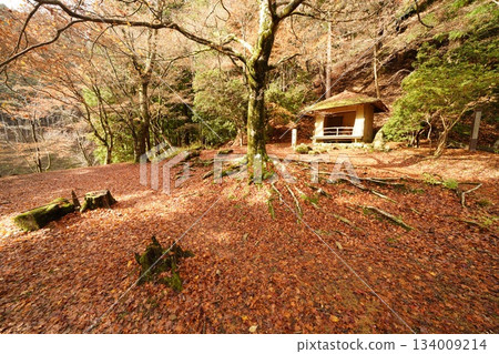 Saigyo-an buried in fallen leaves Saigyo-an buried in fallen leaves 134009214