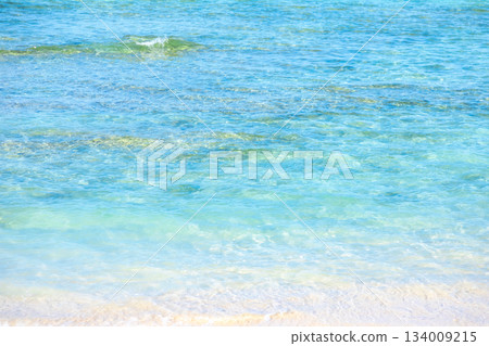 沖繩的藍海 134009215