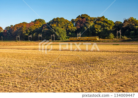 A Sangi Railway train passing by a rice field after the rice harvest. A Sangi Railway train passing by a rice field after the rice harvest. 134009447