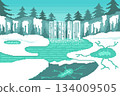 Waterfall with frost fractures and cracked ice in winter, snow landscape on pine background. 134009505