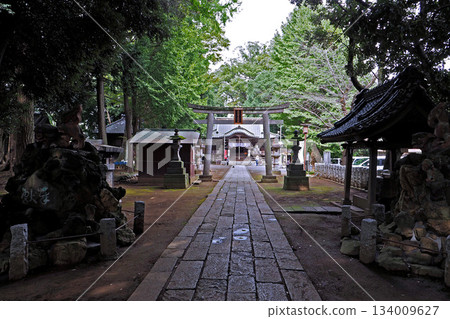 Suzume Shrine (Koga City, Ibaraki Prefecture) Suzume Shrine (Koga City, Ibaraki Prefecture) 134009627