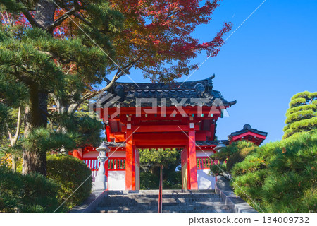 秋葉與秋日天空映照著聖明寺的朱紅色大門。 秋葉與秋日天空映照著聖明寺的朱紅色大門。 134009732