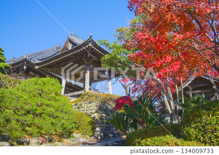 聖明寺鐘樓和秋葉的秋色美不勝收。 134009733