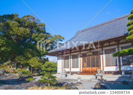 聖明寺寺院景色寧靜祥和,主殿和高大的金針樹構成了一幅美麗的畫面。 聖明寺寺院景色寧靜祥和,主殿和高大的金針樹構成了一幅美麗的畫面。 134009734