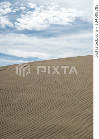 Tottori Sand Dunes, a sandy beach with beautiful wind ripples Tottori Sand Dunes, a sandy beach with beautiful wind ripples 134009788