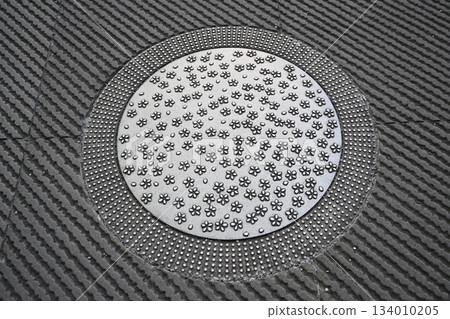A stylish cherry blossom manhole cover found in Marunouchi 134010205